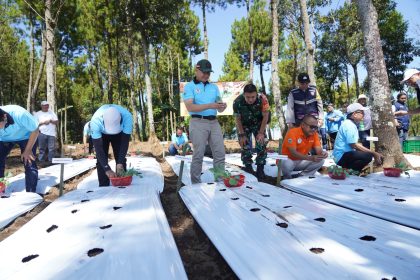 Bernilai Ekonomi Tinggi, Pj. Wali Kota Batu Tanam Brokoli Organik di Desa Tulungrejo