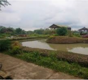 Pemerintah Desa Jatirejoyoso Jawab Kebutuhan Pemulihan di Sektor Pengembangan Wisata
