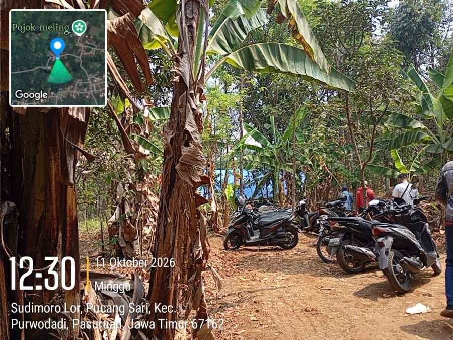 Resahkan Warga, Judi Sabung Ayam dan Dadu di Pucangsari Pasuruan Bebas Beroperasi
