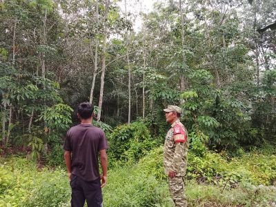 Jaga Wilayah Tetap Aman, Babinsa Koramil 04/Rupat Pantau Lahan Rawan Karhutla di Dungun Baru